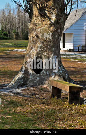 Pettigrew Gehöft am See Phelps, North Carolina Stockfoto