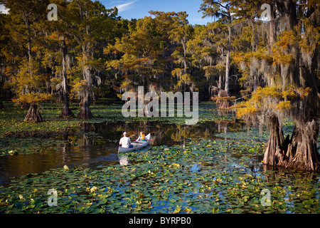 Menschen fahren Kanu, Bäume kahle Zypresse, Cypress Swamp, Caddo Lake, Texas und Louisiana, USA Stockfoto
