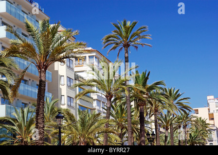 Grüne Palmen, Hotels und Luxus-Apartments in Lloret de Mar, Spanien. Stockfoto