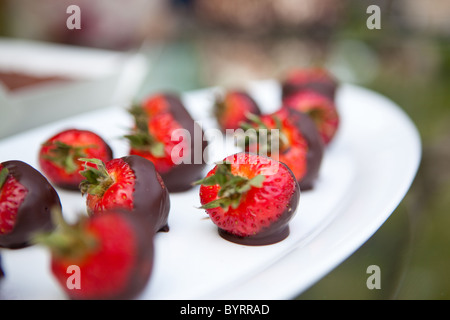 Schokolade überzogene Erdbeeren auf einem Teller auf einer Gartenparty in Victoria, BC, Kanada. Stockfoto