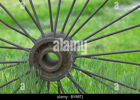 Alte Metall Wagenrad über mit grünem Gras gewachsen, das Rad ist Teil einer wagenrad Zaun um eine Farm in Moskau Idaho gebaut. Stockfoto