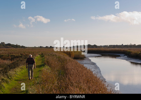 Ein Mann zu Fuß in der Nähe des Flusses Alde bei Snape Maltings in Snape, Suffolk, England, Großbritannien, Uk Stockfoto