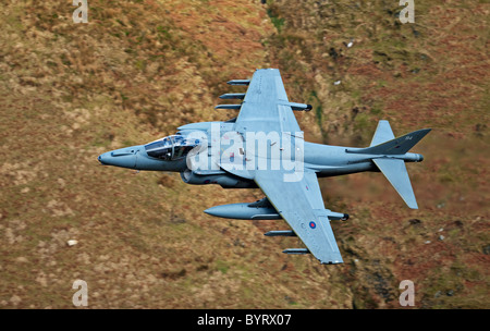 Harrier Jump Jet Lowe fliegen in Nord wales die Mach-Schleife gehen sie so niedrig wie 250 ft Stockfoto