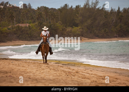 Reiten am Strand von Playa Hütten in Isabela, Puerto Rico Stockfoto