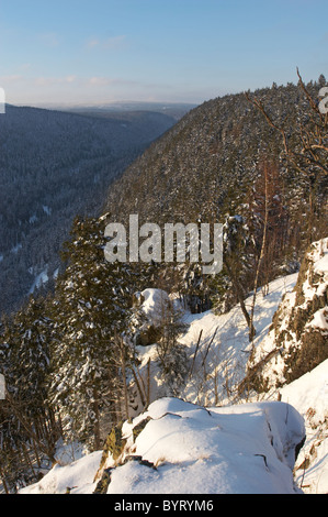 Winterliche Landschaft Hahnenklippen, Nationalpark Harz, Deutschland Stockfoto