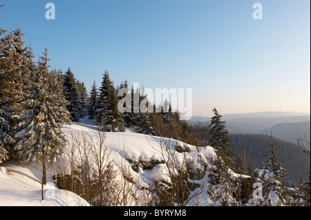 Winterliche Landschaft Hahnenklippen, Nationalpark Harz, Deutschland Stockfoto