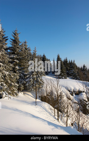 Winterliche Landschaft Hahnenklippen, Nationalpark Harz, Deutschland Stockfoto