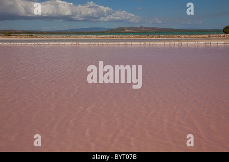 Salinen bei Cabo Rojo Tier-und Pflanzenwelt bewahren, Puerto Rico Stockfoto