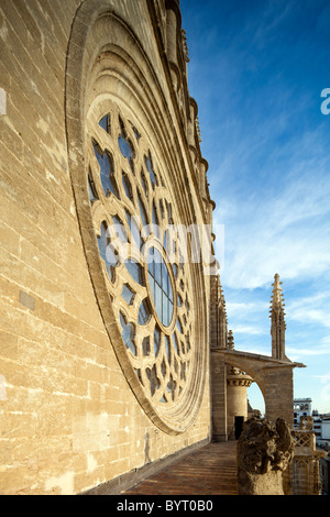 Detial Rosette an der Fassade von Santa Maria De La Sede Kathedrale, Sevilla, Spanien Stockfoto