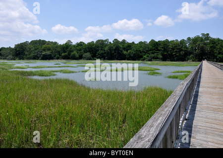 Lange hölzerne Dock am breiten Creek Marina auf Hilton Head Island in South Carolina Stockfoto