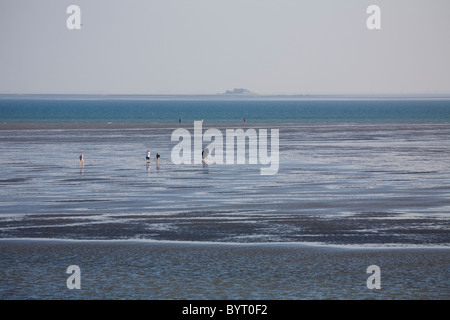 Watt Wandern Stockfoto