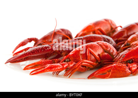 Langusten Stockfoto