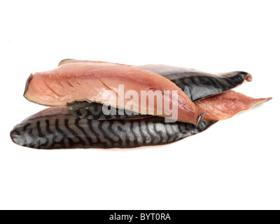 Makrelen Filets Stockfoto