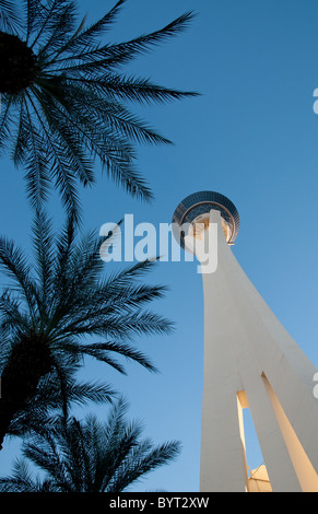 Stratosphere Tower von unten mit Palmen Bäume Silhouette, Las Vegas, Nevada, USA Stockfoto