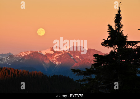 Full Moon rising über North Cascades von Park Butte Trail, Mount Baker-Snoqualmie National Forest, Washington. Stockfoto