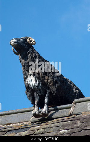 Swaledale Schafen auf dem Dach Muker Stockfoto