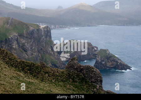 Westküste der subantarktischen Campbell Island, Neuseeland Stockfoto