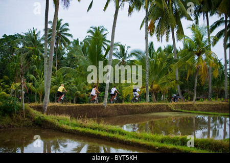 Heraus in den terrassenförmig angelegten Reis Felder von Ubud, Bali, eine Fahrradtour Touristen Fahrten entlang der Kanten der überfluteten Felder. Stockfoto