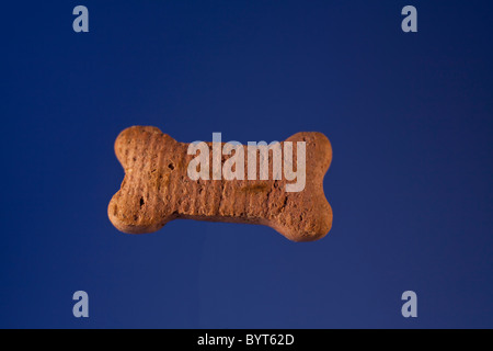 Ein Hundekuchen Stockfoto