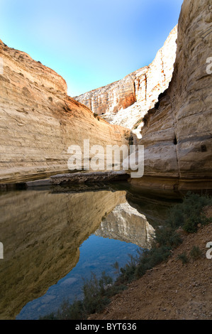 Die wunderschöne Schlucht Ein Avdat in der Negev-Wüste in Israel. Stockfoto