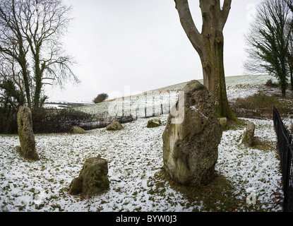 Die neun Steinen von Winterbourne Abbas, Stone Circle, Dorset, Großbritannien Stockfoto