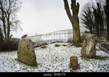 Die neun Steinen von Winterbourne Abbas, Stone Circle, Dorset, Großbritannien Stockfoto