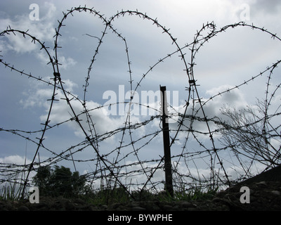 Stacheldraht in Kriegszeiten Graben Stockfoto