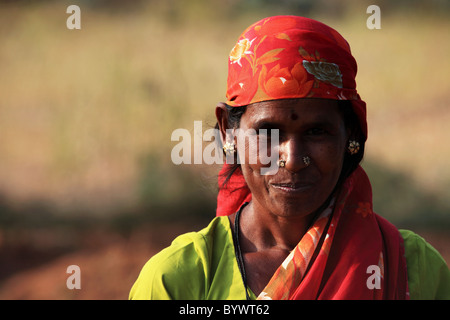Dame arbeitet auf einem Gebiet Andhra Pradesh in Indien Stockfoto