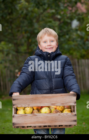 Junge mit Kiste mit Äpfeln Stockfoto