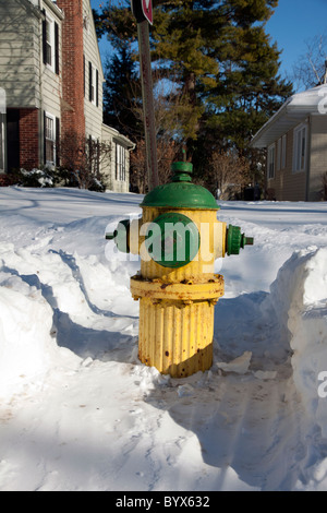 Brandhydrant vor kurzem von Schnee freigeräumt Kalamazoo Michigan USA, von James D Coppinger/Dembinsky Photo Assoc Stockfoto