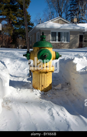 Brandhydrant vor kurzem von Schnee freigeräumt Kalamazoo Michigan USA, von James D Coppinger/Dembinsky Photo Assoc Stockfoto