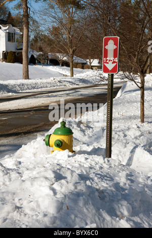 Brandhydrant vor kurzem von Schnee freigeräumt Kalamazoo Michigan USA, von James D Coppinger/Dembinsky Photo Assoc Stockfoto