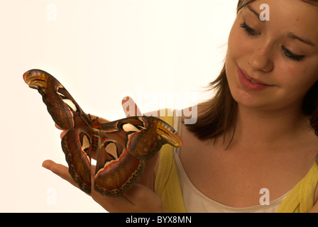 Junges Mädchen mit Riesen Atlas Moth auf Seite Stockfoto