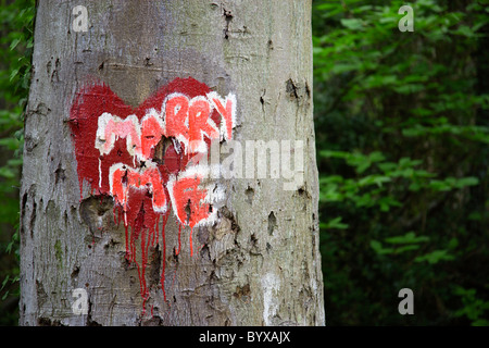 ENGLAND West Sussex Chichester Red Valentine Herzen gemalt am Stamm eines Baumes in einem Wald mit den Worten heirate mich darauf geschrieben. Stockfoto