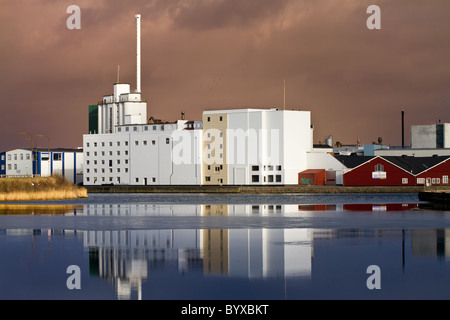 Gebäude am Hafen von Odense mit Spiegelungen im Wasser Stockfoto