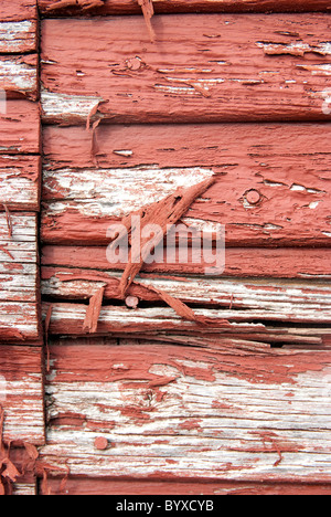 Roten Scheunentor Nahaufnahmen zeigen Textur. Stockfoto