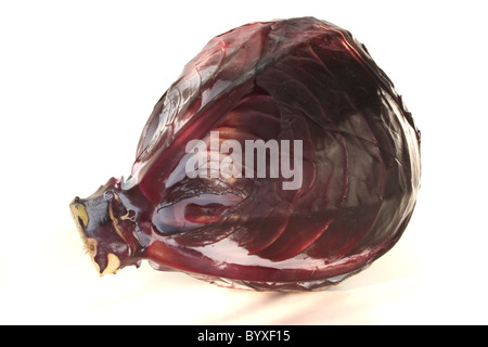 frischen Kopf Rotkohl auf weißem Hintergrund Stockfoto