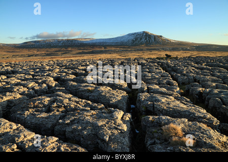 Winter Blick auf Kalkstein Pflaster am Maßstab Moor, mit Blick auf Ingleborough, einer der Yorkshire Dales berühmten drei Gipfel Stockfoto