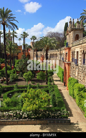 Gärten des real Alcazar Sevilla, Spanien Stockfoto