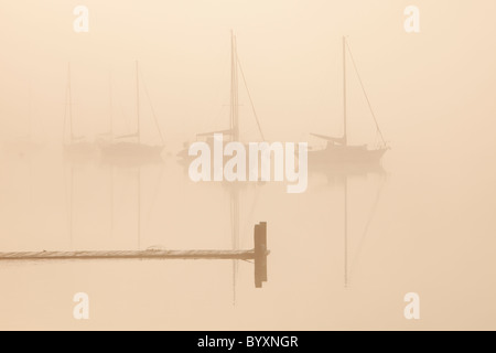 Waterhead in Ambleside am Lake Windermere, Lake District, UK, an einem nebligen Wintern Morgen, Stockfoto