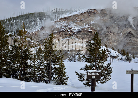 Dampf, Entlüftung, Roaring Mountain. Yellowstone-Nationalpark, Wyoming, USA. Stockfoto