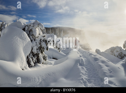 Besucher, die durch Dampf steigt aus einer heißen Quelle. Schneebedeckte Lodgepole Pine Wald. Yellowstone-Nationalpark, Wyoming, Stockfoto