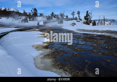 Wasserabfluss aus heißen Quellen. Mammoth Hot Springs, Yellowstone-Nationalpark, Wyoming, USA. Stockfoto