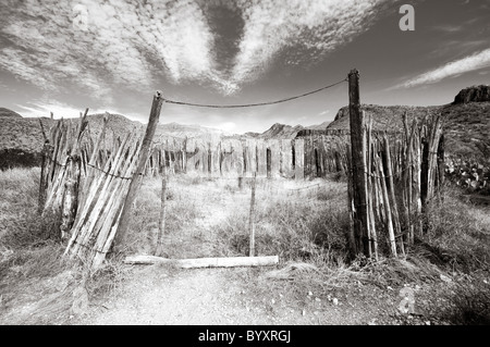 Ruinen von Corral, Homer Wilson Ranch, Big Bend Nationalpark, Texas Stockfoto