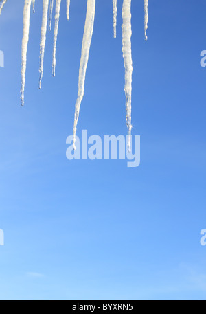 Gruppe von hängenden Eiszapfen vor blauem Himmel. Stockfoto