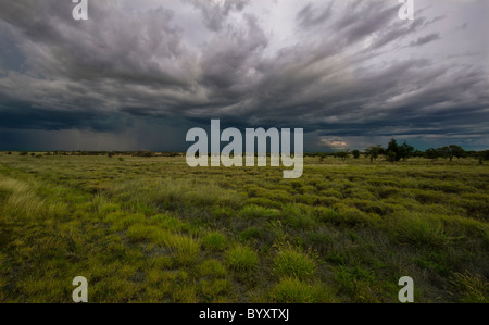 Tropische Gewitter im nördlichen outback von Australien. Stockfoto