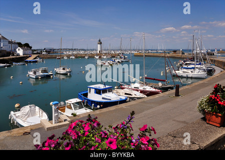 Port Haliguen mit roten Blüten der Petunie und dem Leuchtturm in Quiberon im Département Morbihan in der Bretagne Stockfoto