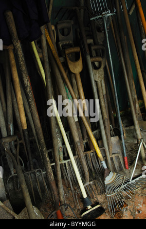 Rechen, Gabeln, Spaten, Bürsten, eine Auswahl an Werkzeugen in einem Gartenhaus. Dorset, UK-November 2010 Stockfoto