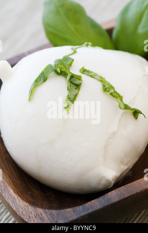 Büffel-Mozzarella als Closeup in einer Teak-Holz-Schüssel. Stockfoto