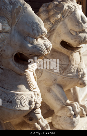 Chinesischen Steinlöwen Tor Stockfoto